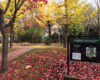 永山記念公園の秋景色