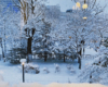 永山邸から見る冬景色