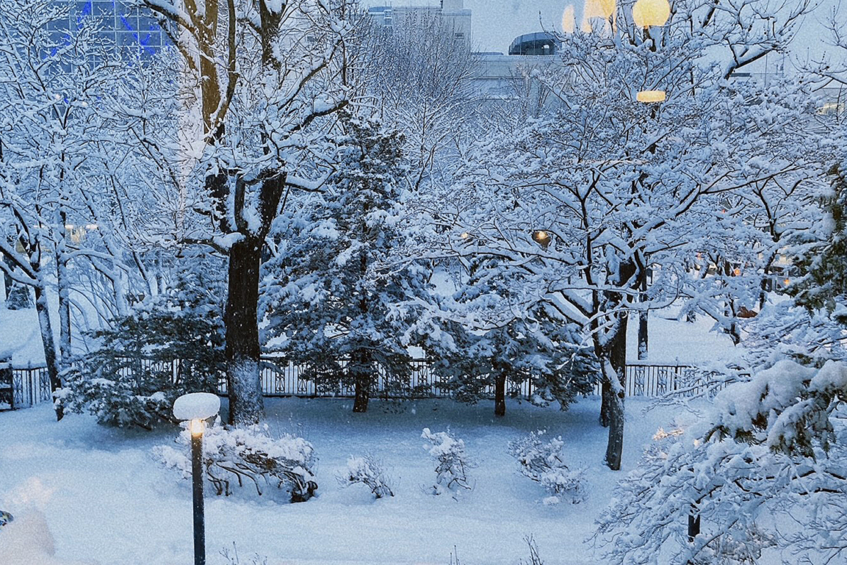 永山邸から見る冬景色
